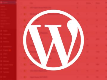 How To View Form Entries In Wordpress Cbd